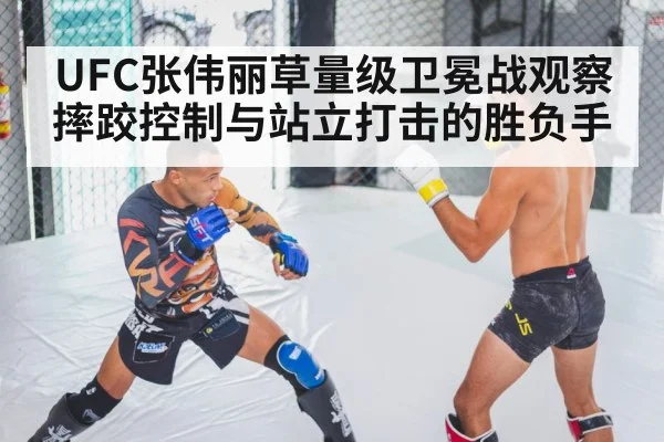 MMA fighter training